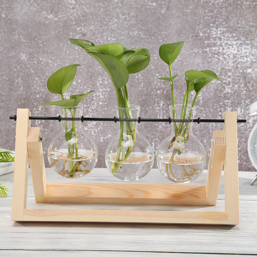 Plant Terrarium With Wooden Stand