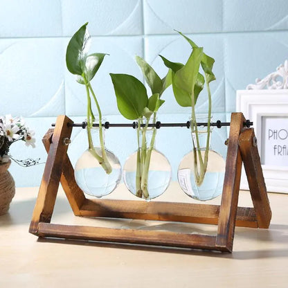 Plant Terrarium With Wooden Stand