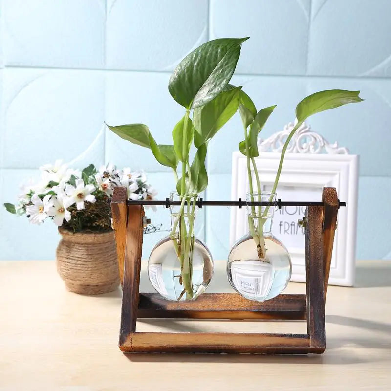 Plant Terrarium With Wooden Stand