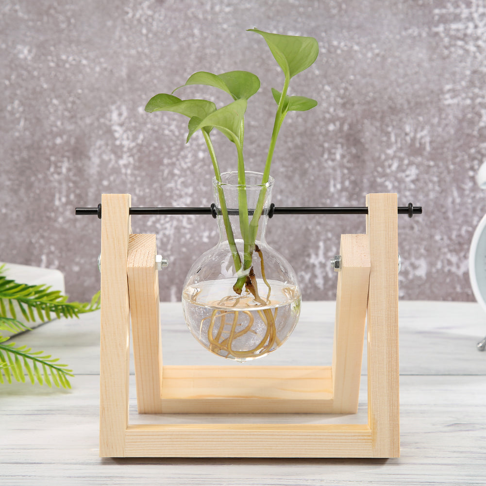 Plant Terrarium With Wooden Stand