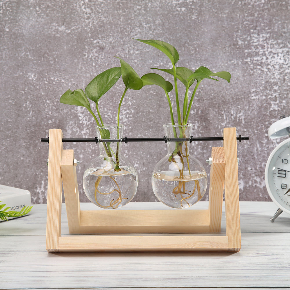 Plant Terrarium With Wooden Stand