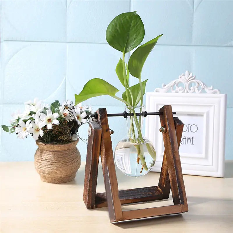 Plant Terrarium With Wooden Stand